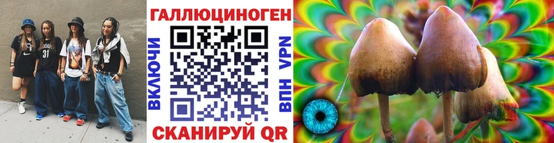 Галлюциногенные грибы прущие грибы  сайты даркнета Telegram  Зерноград 