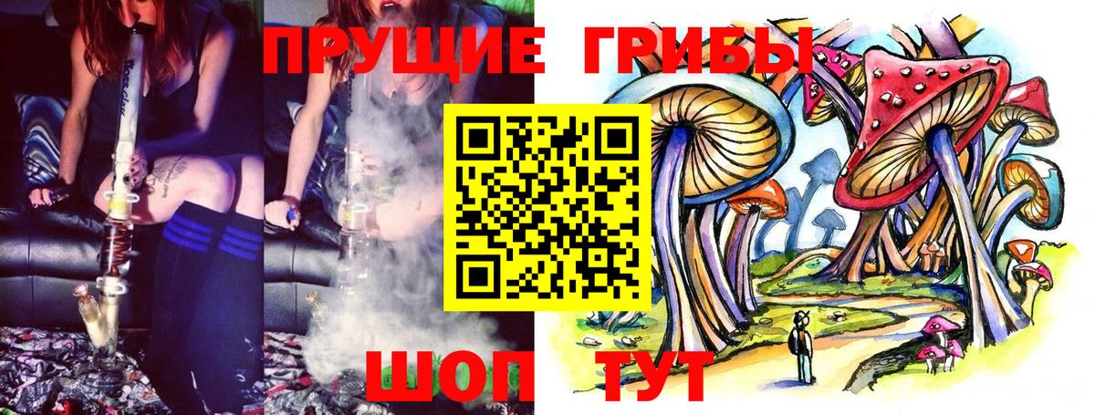 Галлюциногенные грибы мицелий  Псилоцибиновые грибы мицелий  Вход с VPN  Зерноград 