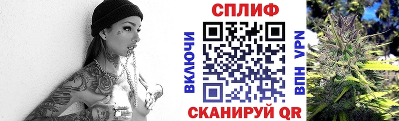 где найти наркотики  Зерноград  блэк спрут вход  Каннабис White Widow 